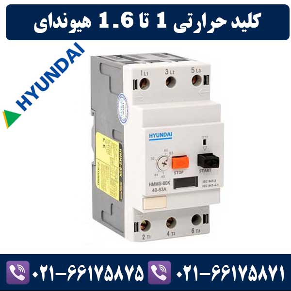 کلید حرارتی 1 تا 1.6 هیوندای کلید حرارتی 1 تا 1.6 هیوندای
