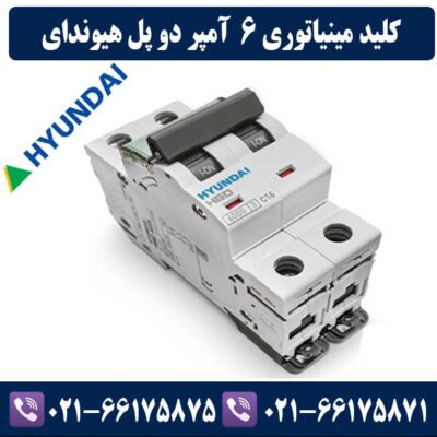 کلید مینیاتوری دو پل 6 آمپر هیوندای