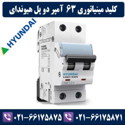 کلید مینیاتوری دو پل 63 آمپر هیوندای